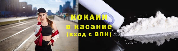 шишки Богородск