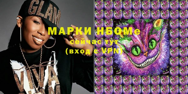 шишки Богородск