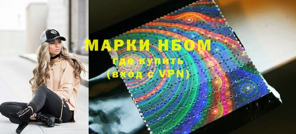 шишки Богородск