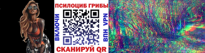купить   omg как войти  Псилоцибиновые грибы ЛСД  Духовщина 